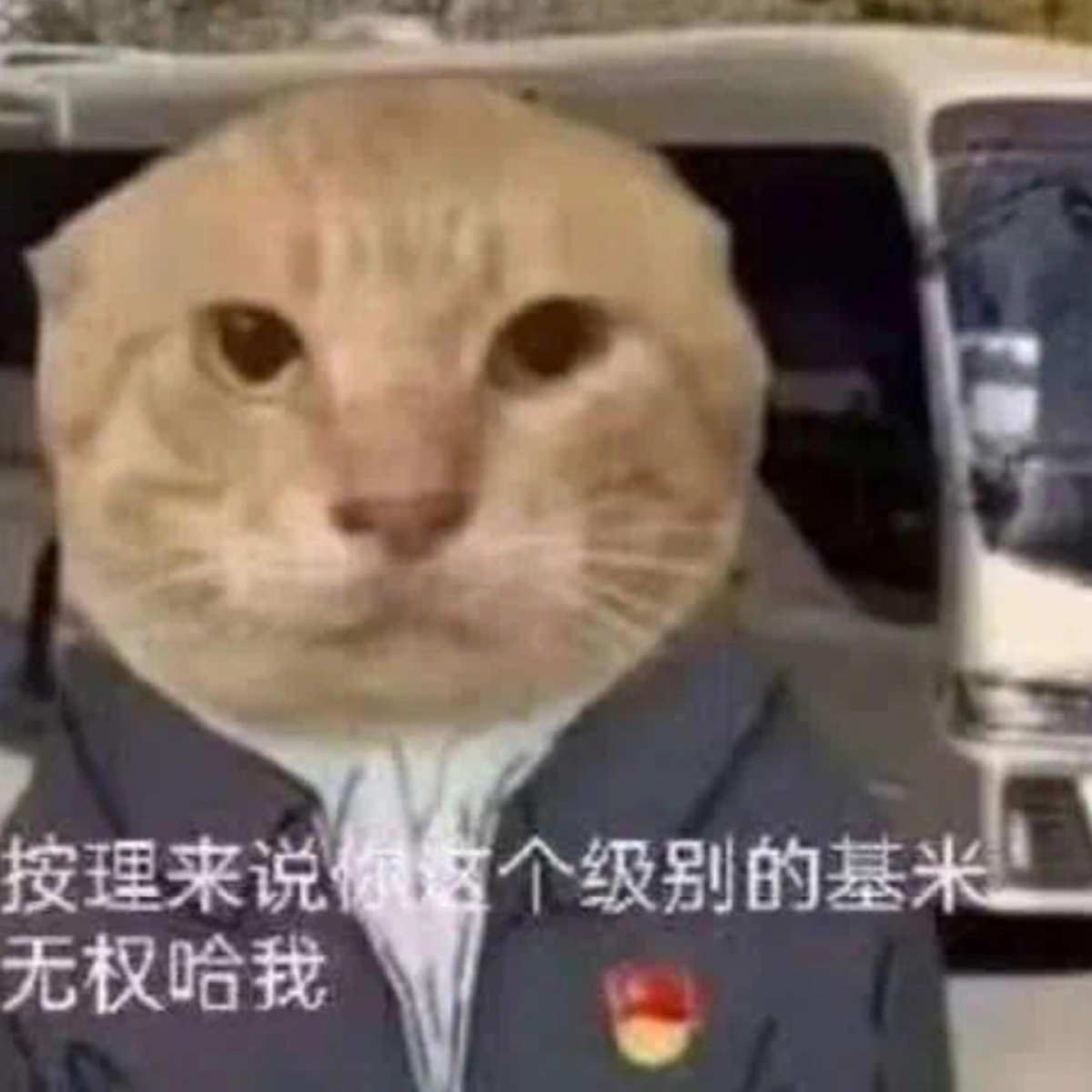 找像长辈的知心朋友