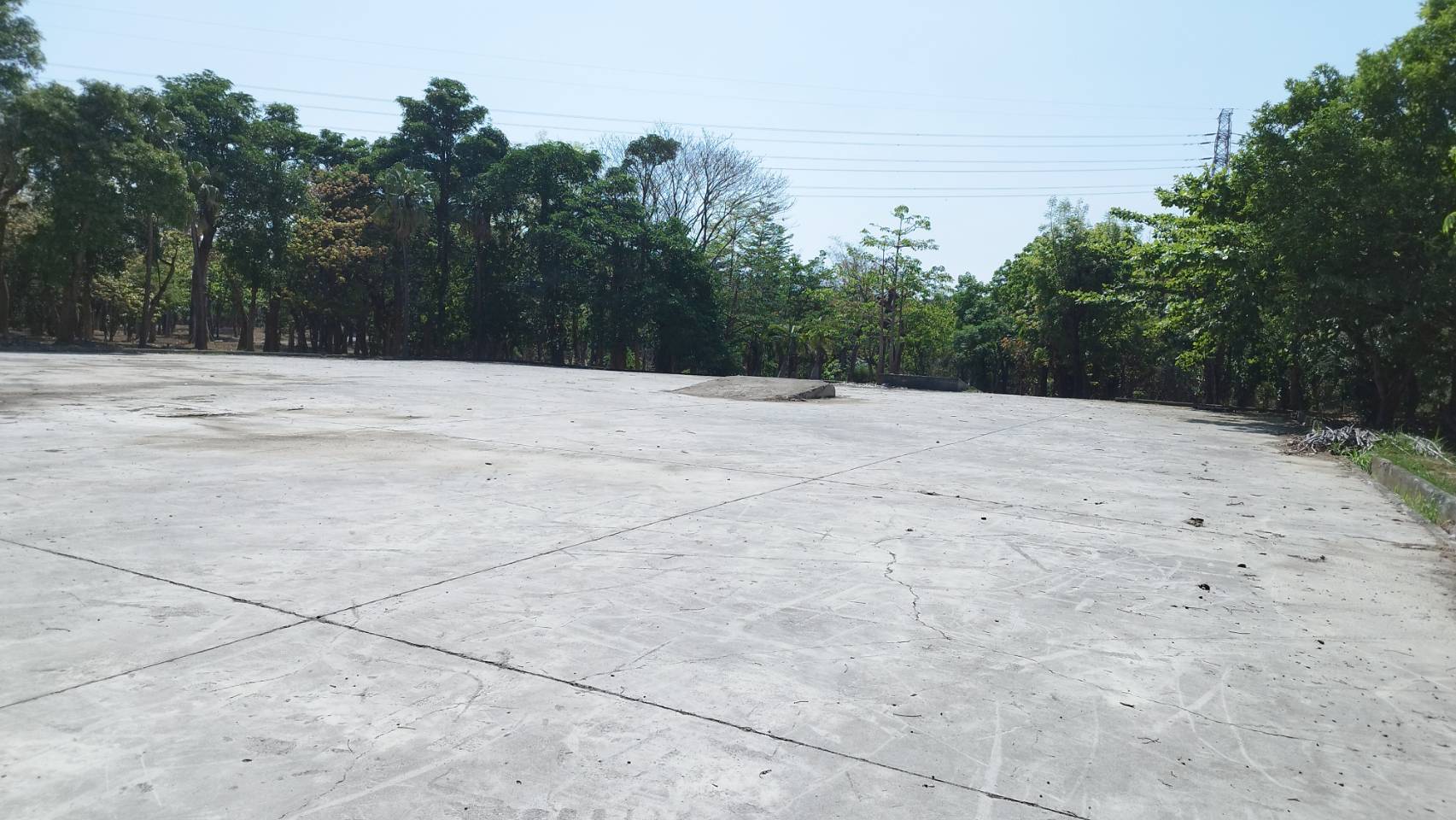 伸手觸摸志工男下體判刑