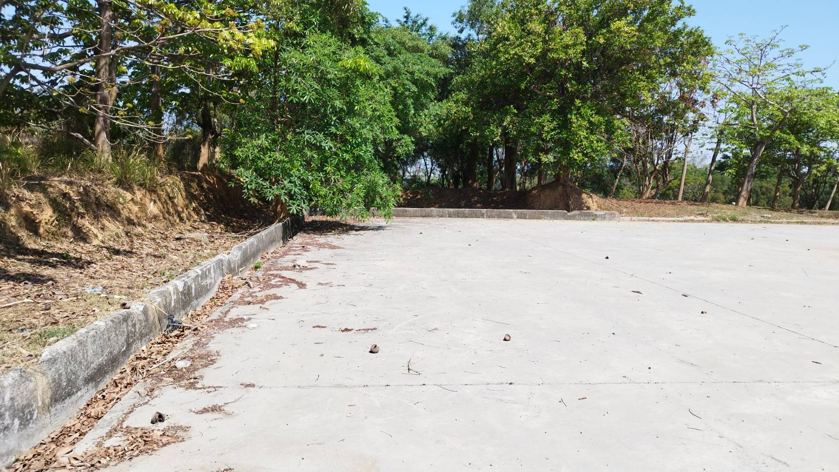 鳳翔公園裸露出生殖器官