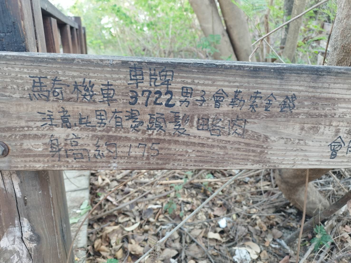 28773.jpg